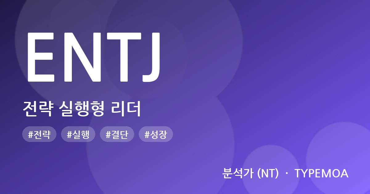 ENTJ 전략 실행형 리더